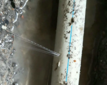 和龙卫生间测漏水多少钱