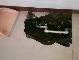 和龙卫生间测漏水多少钱